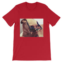 Dog with glasses t-shirt