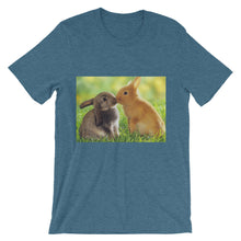 Rabbits t-shirt