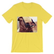Dog with glasses t-shirt