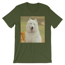 Dog t-shirt