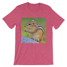 Chipmunk t-shirt