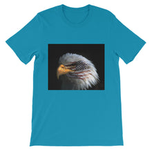 American Eagle t-shirt