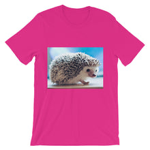 Hedgehog t-shirt