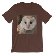 Owl t-shirt