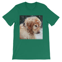 Dog t-shirt