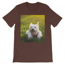 Dog t-shirt