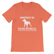 Property of Team Pitbull t-shirt