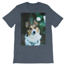 Corgi t-shirt
