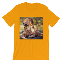 Dog t-shirt