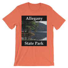 Allegany State Park t-shirt