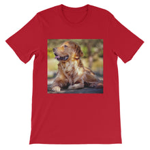 Dog t-shirt