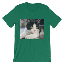 Kitten t-shirt