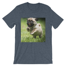 Pug t-shirt