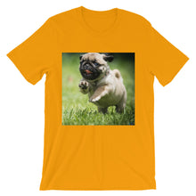 Pug t-shirt