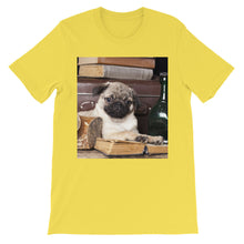 Pug t-shirt