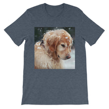 Dog t-shirt