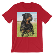 Rottweiler t-shirt
