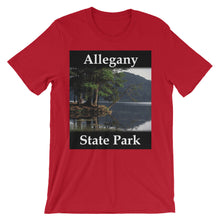 Allegany State Park t-shirt
