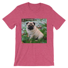 Pug t-shirt