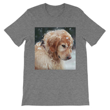 Dog t-shirt