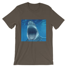 Shark t-shirt