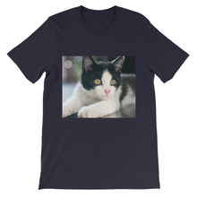 Kitten t-shirt
