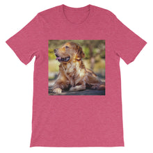 Dog t-shirt