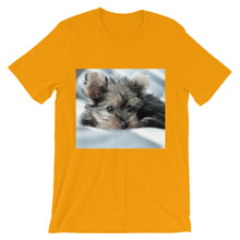 Yorkie Puppy t-shirt