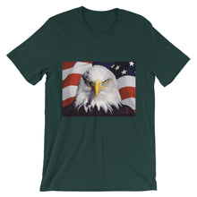 Patriotic t-shirt