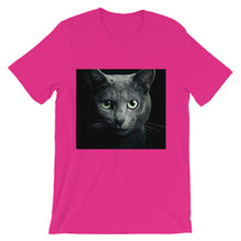 Cat t-shirt
