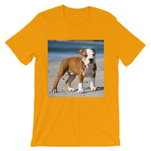 Dog t-shirt