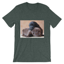 Puppies t-shirt