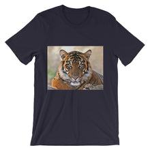 Tiger t-shirt