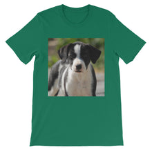 Dog t-shirt