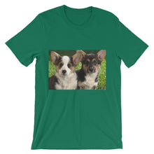 Corgis t-shirt