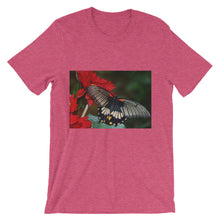 Butterfly t-shirt