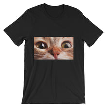 Cat t-shirt