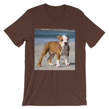 Dog t-shirt