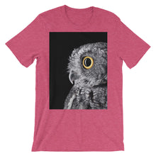 Owl t-shirt