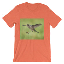 Hummingbird and Bee t-shirt