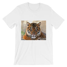 Tiger t-shirt
