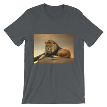Lion t-shirt