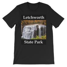 Letchworth t-shirt