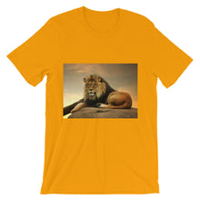 Lion t-shirt