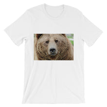 Bear t-shirt