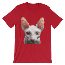 Cat t-shirt