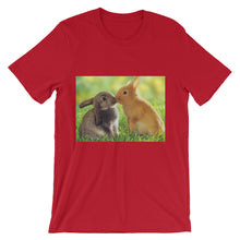 Rabbits t-shirt