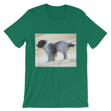 Dog t-shirt