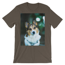 Corgi t-shirt