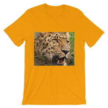 Leopard t-shirt